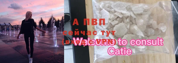 хмурый Зеленокумск