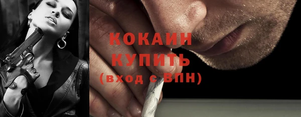 МДПВ Пестово