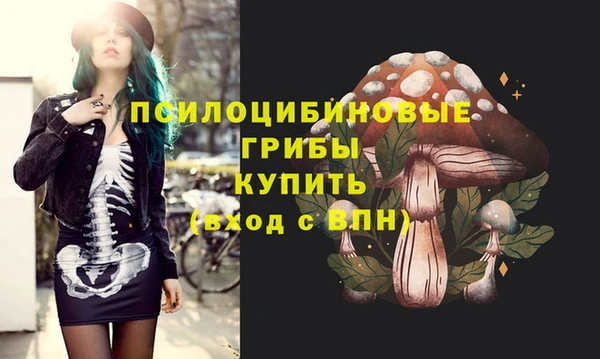 мдма Пересвет