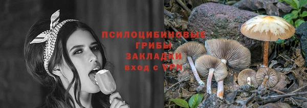 МДПВ Пестово