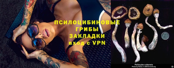 сатива Галич