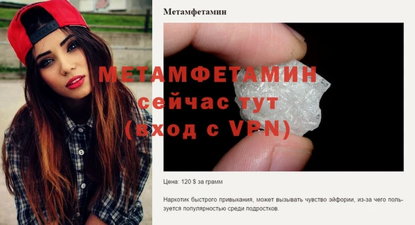 сатива Галич