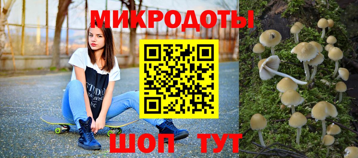 Псилоцибиновые грибы GOLDEN TEACHER Богданович