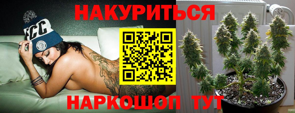 Бошки Шишки LSD WEED  Каннабис сатива  Богданович  Вход с VPN  Бошки Шишки THC 21% 